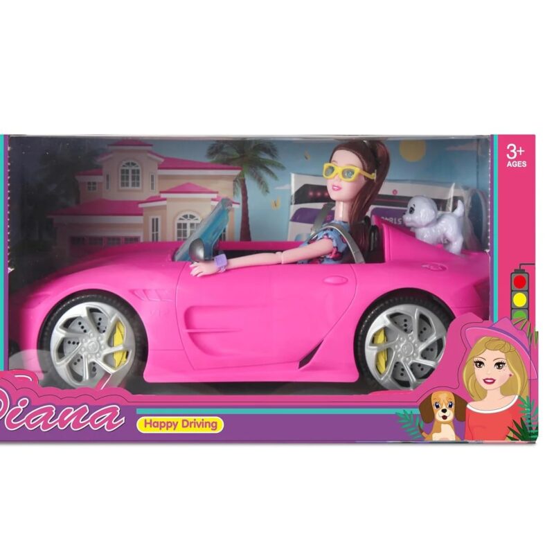 Diana Series Set Beautiful Dazzling Toy